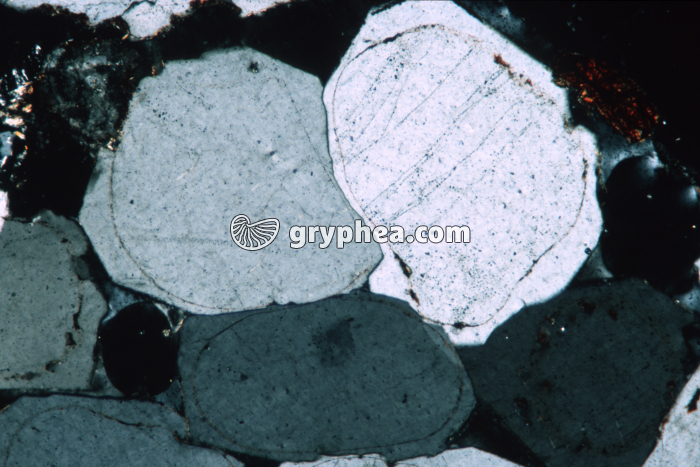 Grès vosgien LPA x7 - gryphea.com